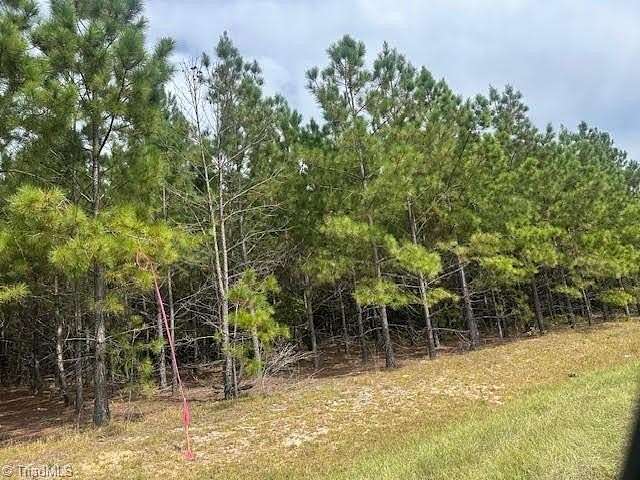 10.7 Acres of Land for Sale in Jackson Springs, North Carolina