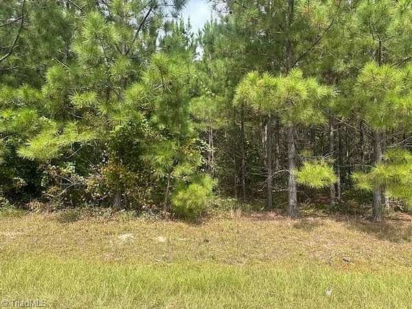 10.3 Acres of Land for Sale in Jackson Springs, North Carolina