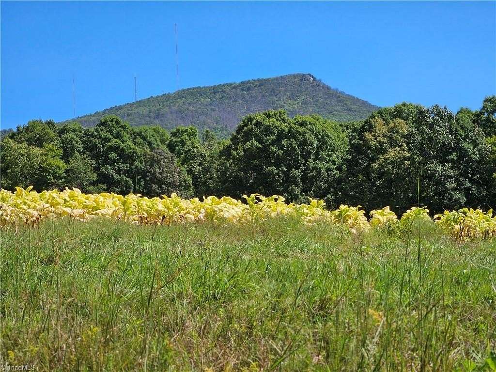 10 Acres of Residential Land for Sale in Pinnacle, North Carolina