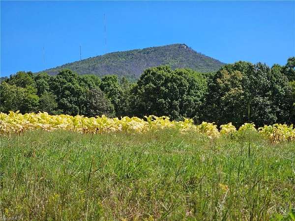 10 Acres of Residential Land for Sale in Pinnacle, North Carolina