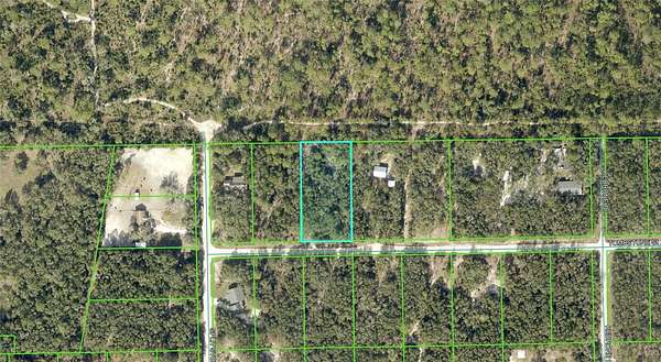 1.25 Acres of Residential Land for Sale in Webster, Florida