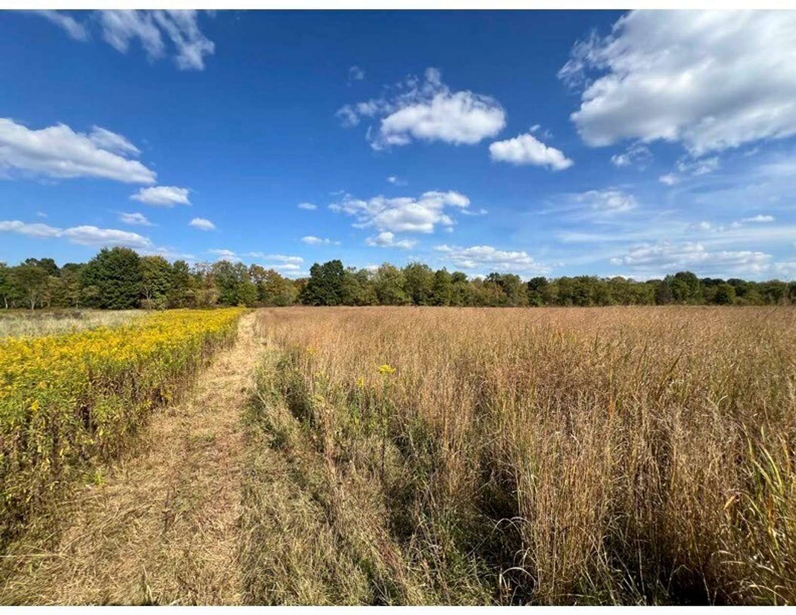 125 Acres of Recreational Land for Sale in Conneaut Lake, Pennsylvania