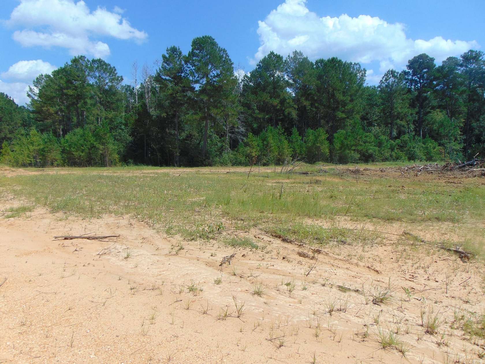 24 Acres of Land for Sale in Wesson, Mississippi