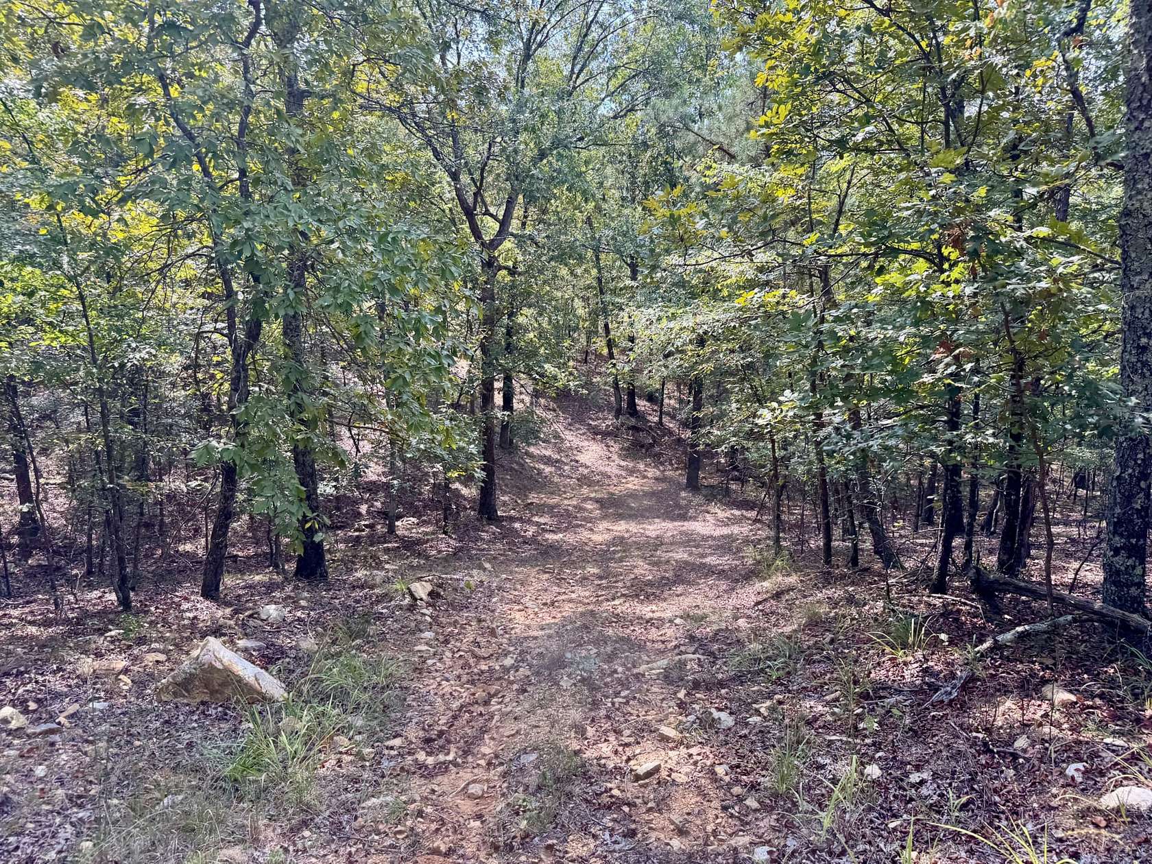 93 Acres of Recreational Land for Sale in Lonsdale, Arkansas