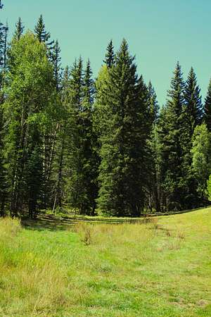 69 Acres of Recreational Land for Sale in Divide, Colorado