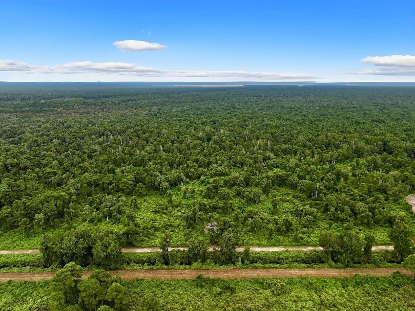 60 Acres of Recreational Land for Sale in Belhaven, North Carolina