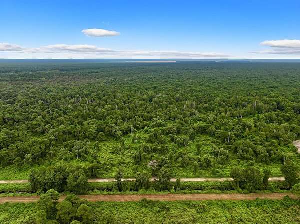 60 Acres of Recreational Land for Sale in Belhaven, North Carolina