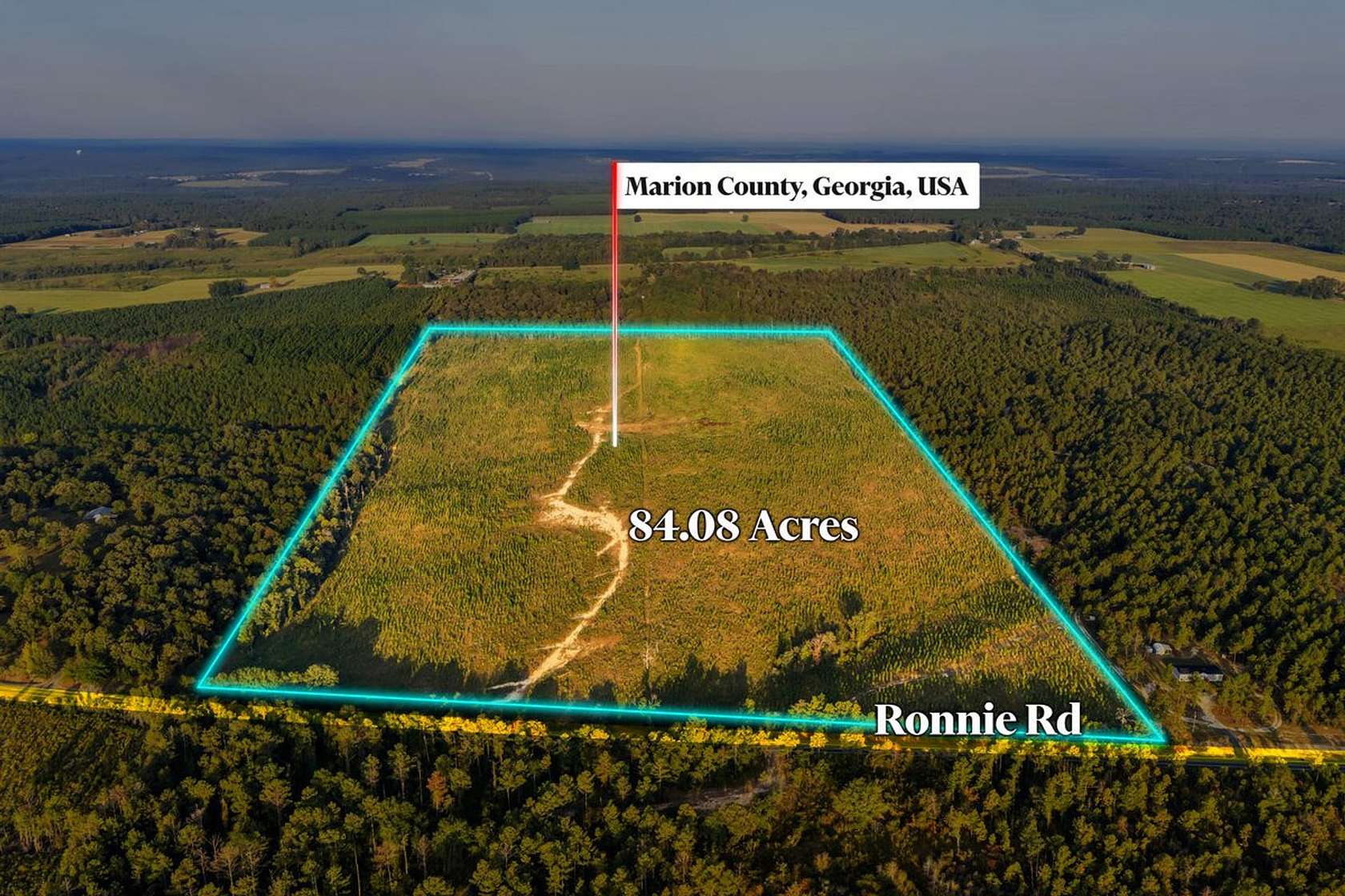84 Acres of Recreational Land for Sale in Buena Vista, Georgia