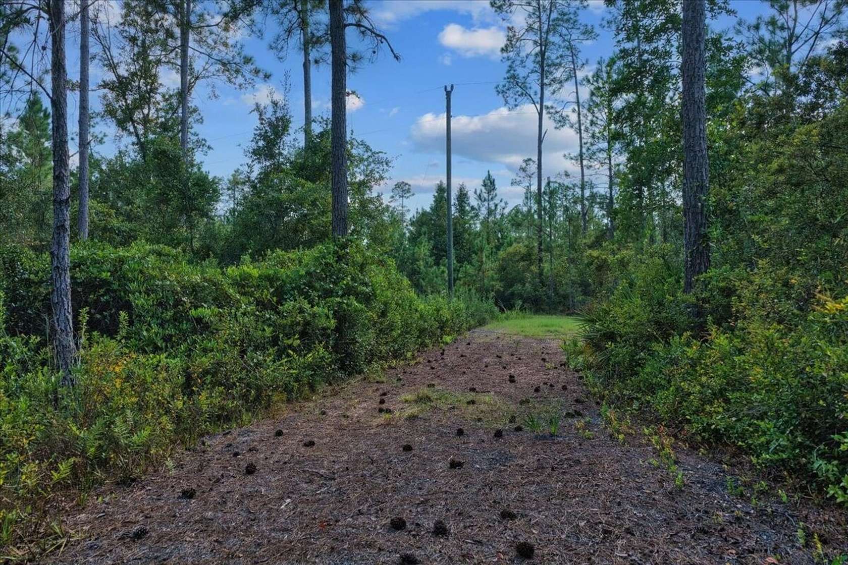 40.6 Acres of Recreational Land for Sale in Greenville, Florida