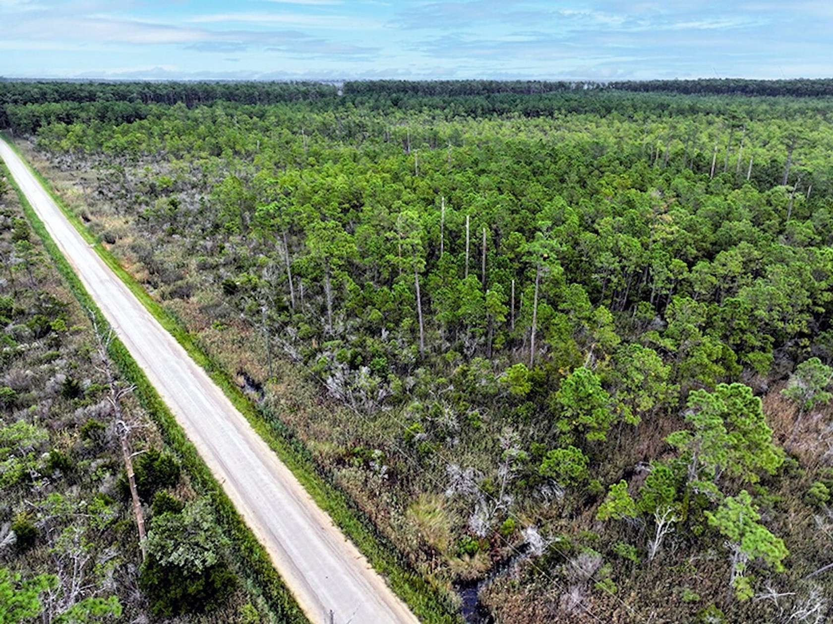 12 Acres of Recreational Land for Sale in Hobucken, North Carolina