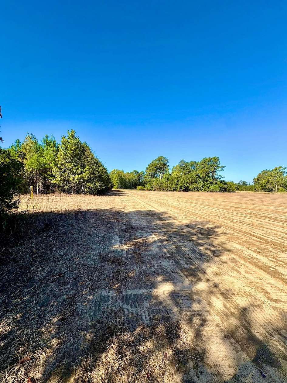 17.3 Acres of Recreational Land & Farm for Sale in Temperance Hill, South Carolina