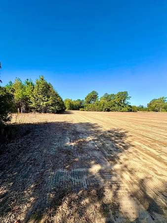17.3 Acres of Recreational Land & Farm for Sale in Temperance Hill, South Carolina