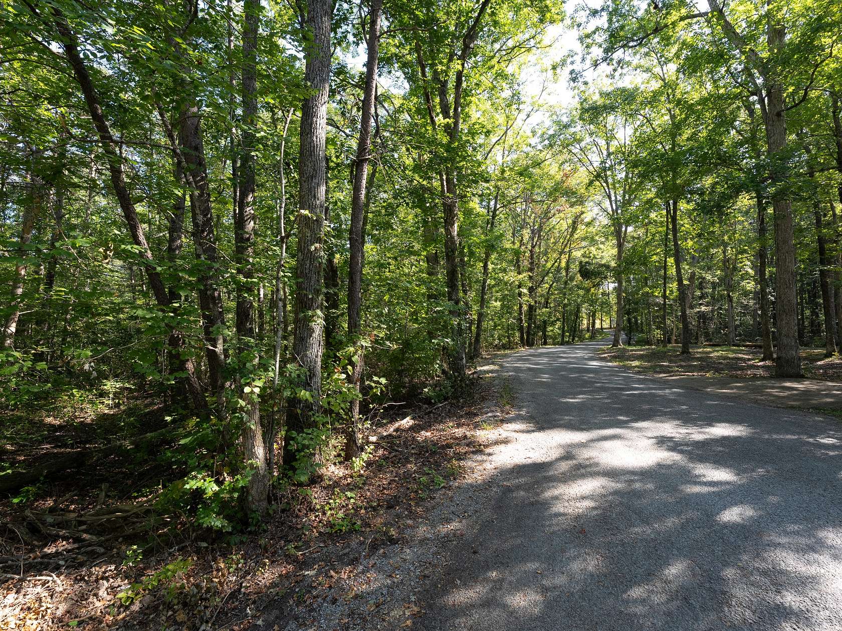 3.89 Acres of Residential Land for Sale in Tracy City, Tennessee