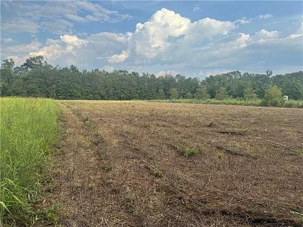 4.77 Acres of Land for Sale in Mount Hermon, Louisiana
