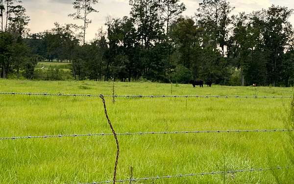 5 Acres of Land for Sale in Lake Butler, Florida
