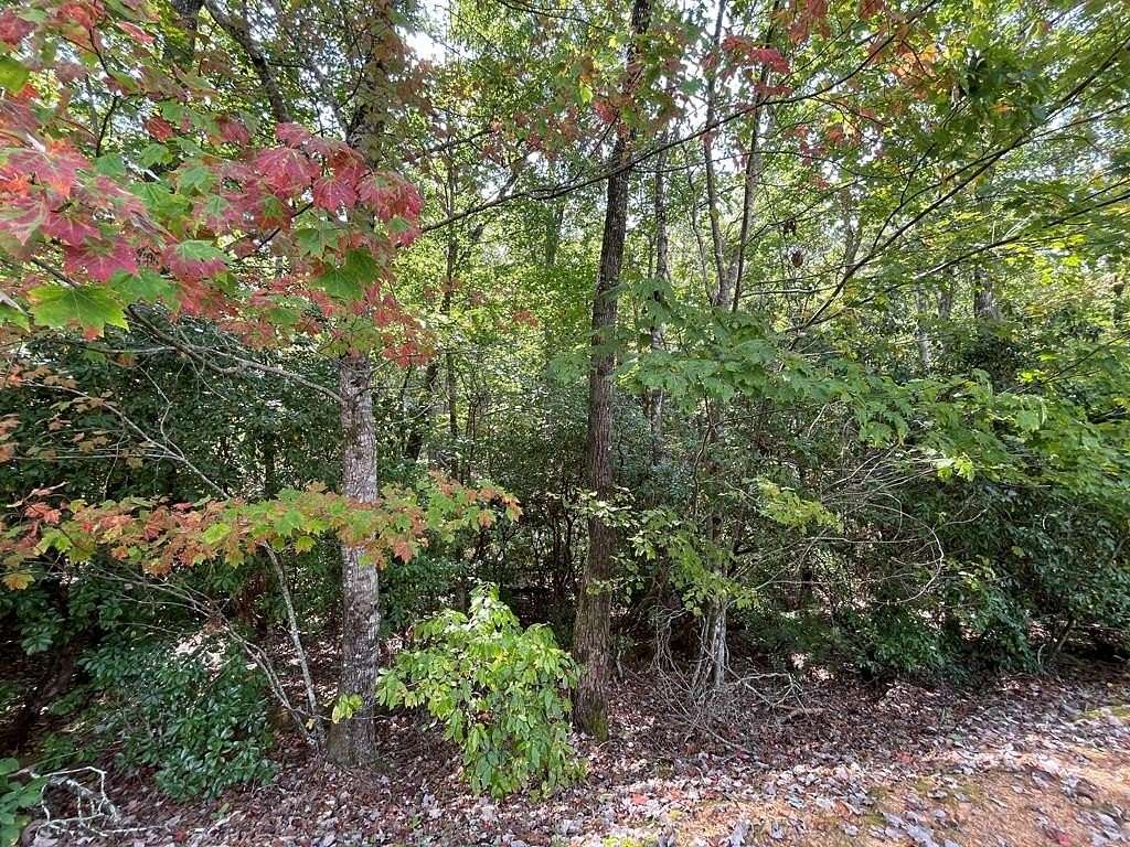 0.54 Acres of Land for Sale in Brasstown, North Carolina