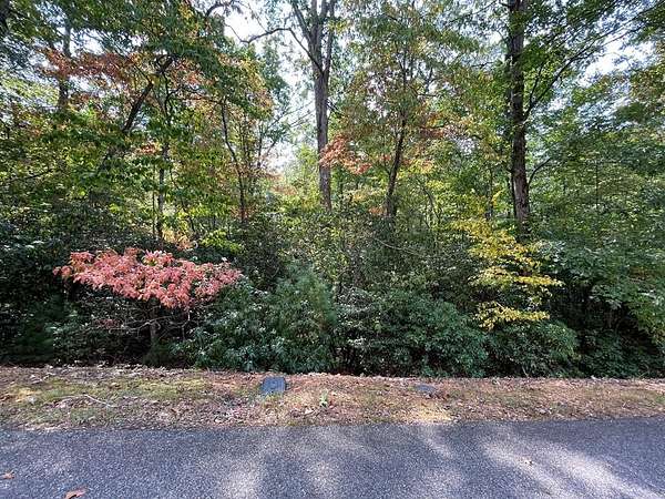 0.6 Acres of Residential Land for Sale in Brasstown, North Carolina