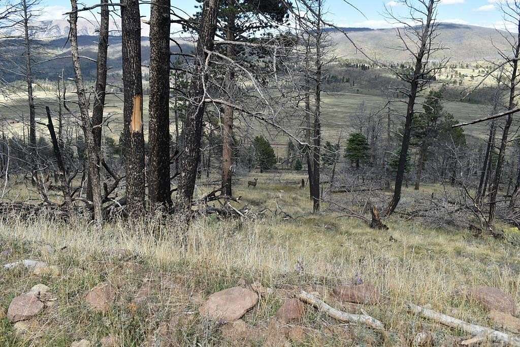 5 Acres of Residential Land for Sale in Fort Garland, Colorado