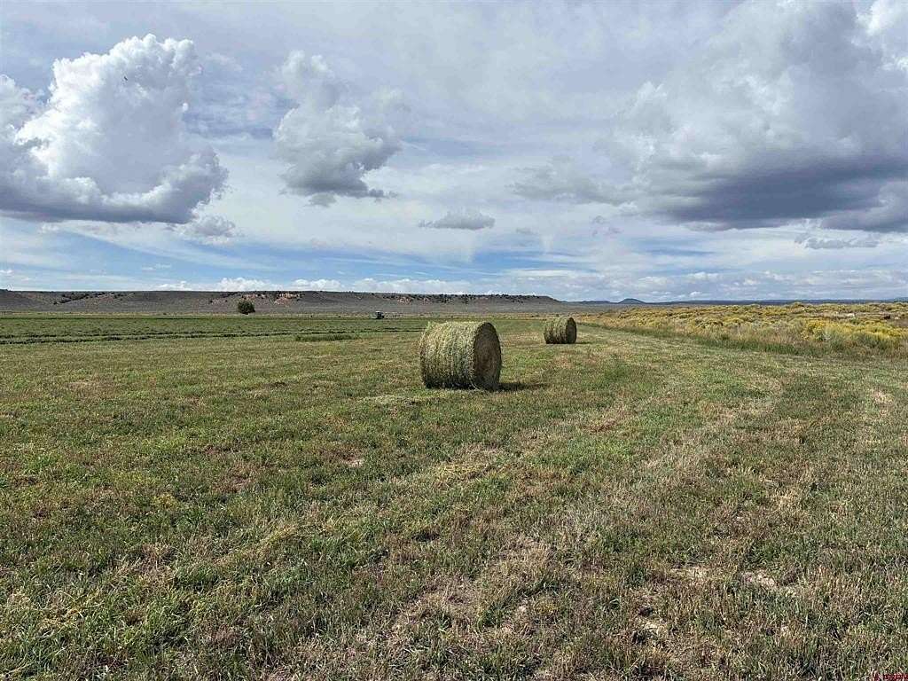 59 Acres of Agricultural Land for Sale in Antonito, Colorado