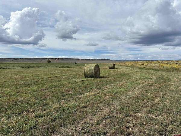 59 Acres of Agricultural Land for Sale in Antonito, Colorado