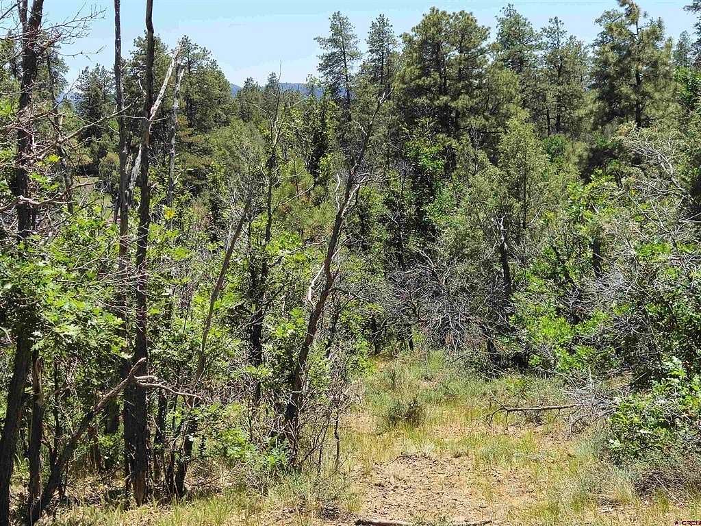 2.37 Acres of Residential Land for Sale in Pagosa Springs, Colorado