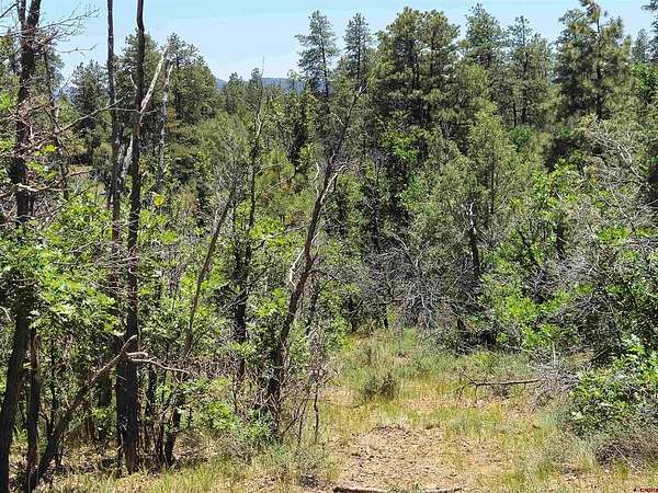 2.37 Acres of Land for Sale in Pagosa Springs, Colorado