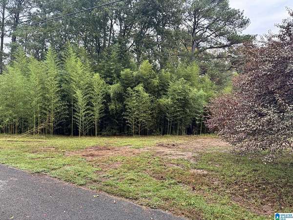 0.78 Acres of Residential Land for Sale in Mulga, Alabama