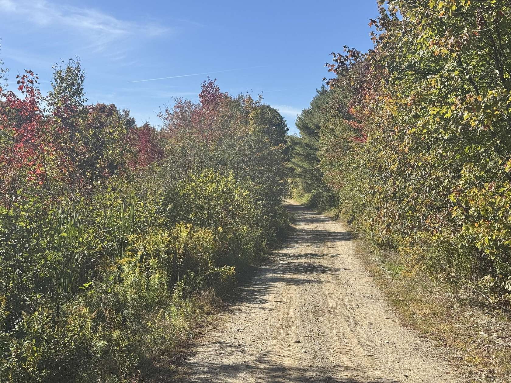 12.9 Acres of Land for Sale in Stockton Springs, Maine