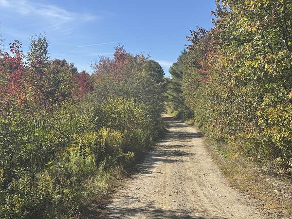 12.9 Acres of Land for Sale in Stockton Springs, Maine