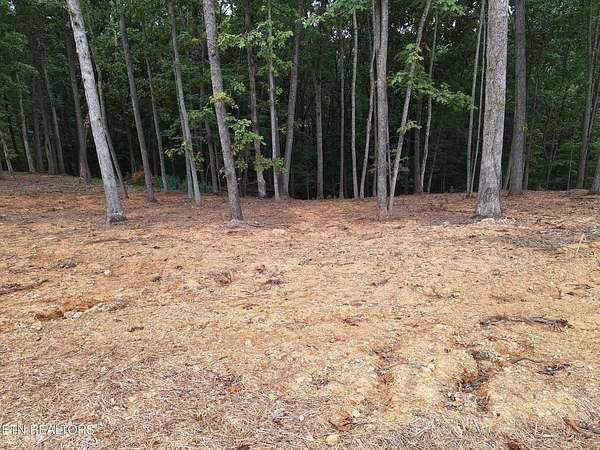 0.96 Acres of Residential Land for Sale in Loudon, Tennessee