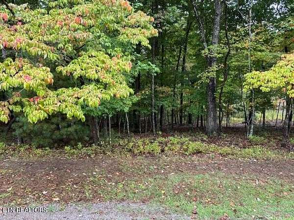 0.34 Acres of Land for Sale in Fairfield Glade, Tennessee