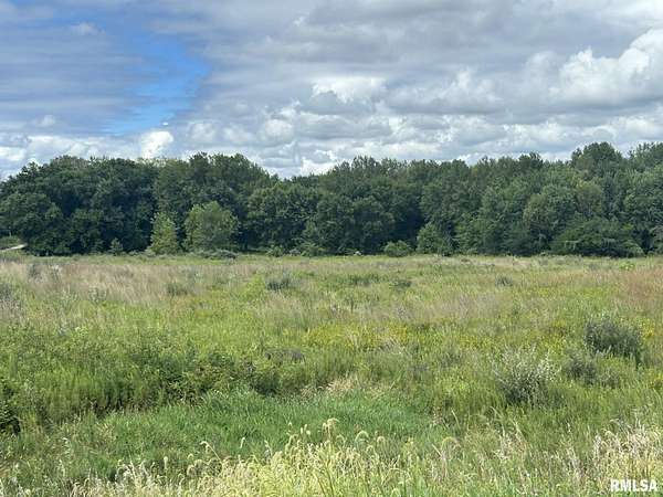 Land for Sale in Edinburg, Illinois