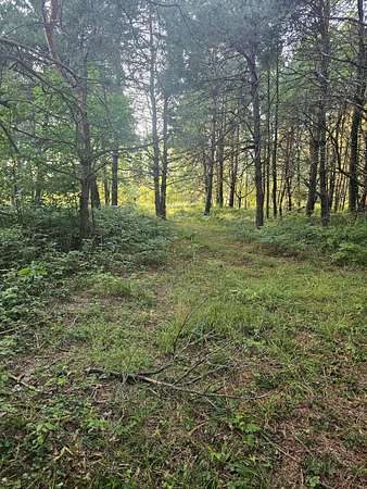 31.9 Acres of Recreational Land for Sale in Kaleva, Michigan