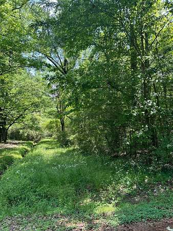 22 Acres of Land for Sale in Kosciusko, Mississippi