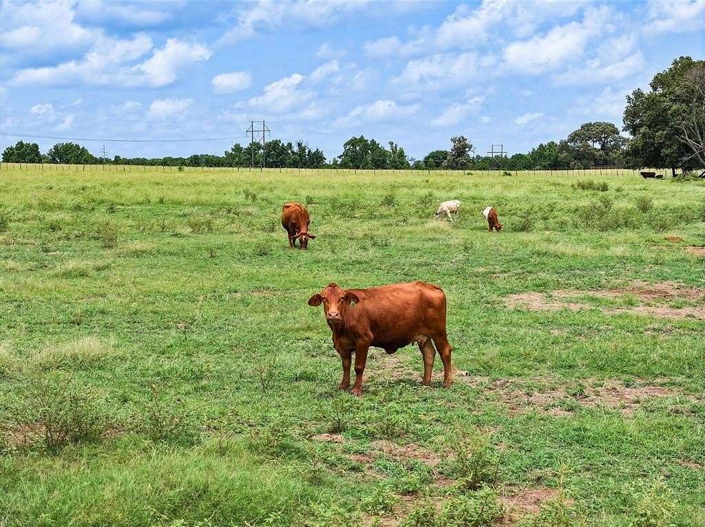 10 Acres of Residential Land for Sale in Jacksonville, Texas