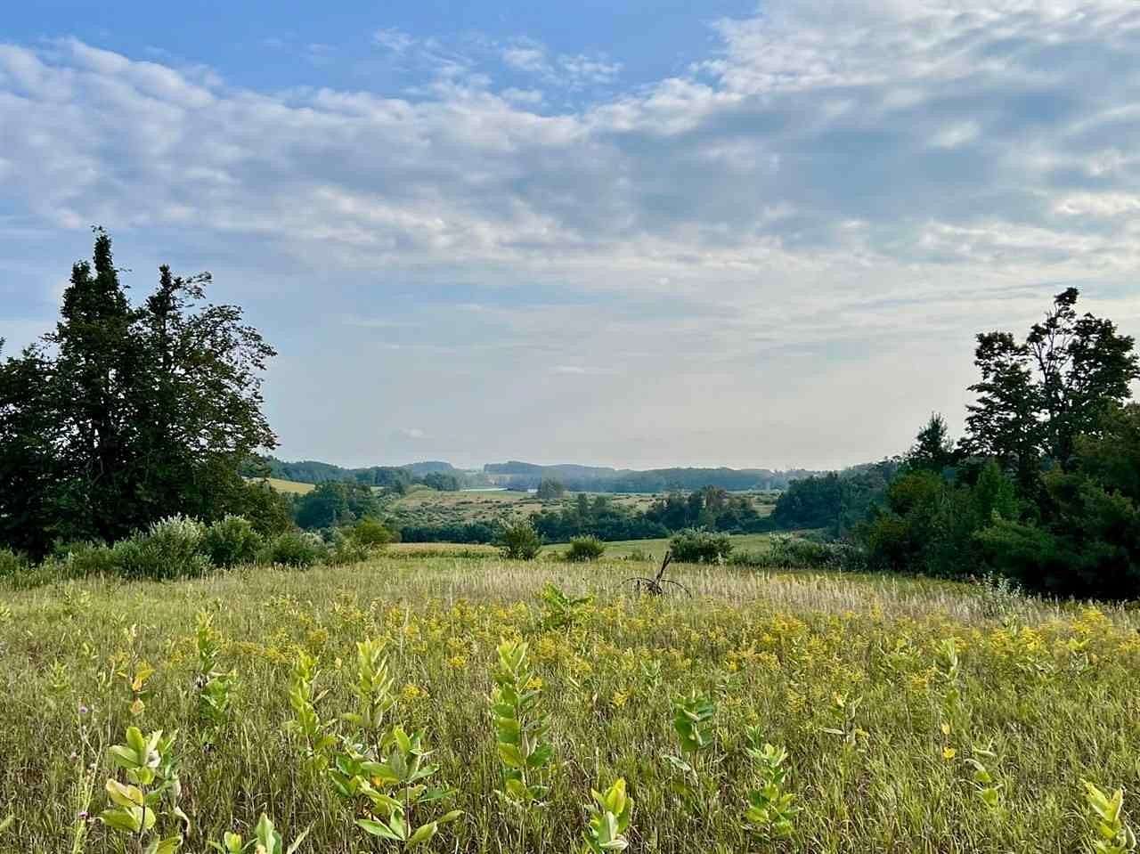 39 Acres of Agricultural Land for Sale in Ellsworth, Michigan