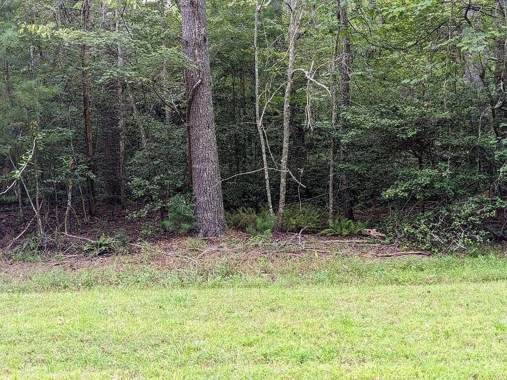 4.1 Acres of Land for Sale in Warne, North Carolina