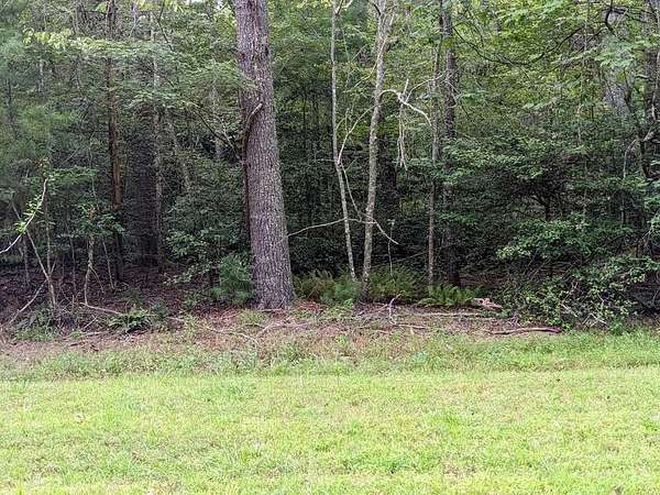 4.1 Acres of Land for Sale in Warne, North Carolina
