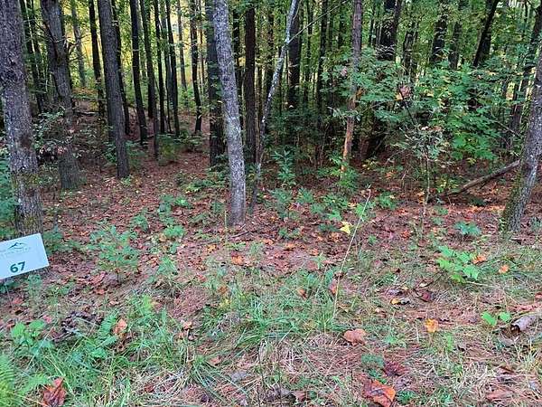 1.29 Acres of Land for Sale in Murphy, North Carolina