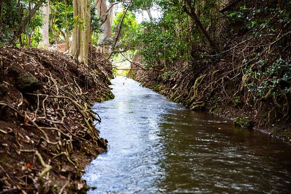 34.7 Acres of Recreational Land for Sale in Wailuku, Hawaii