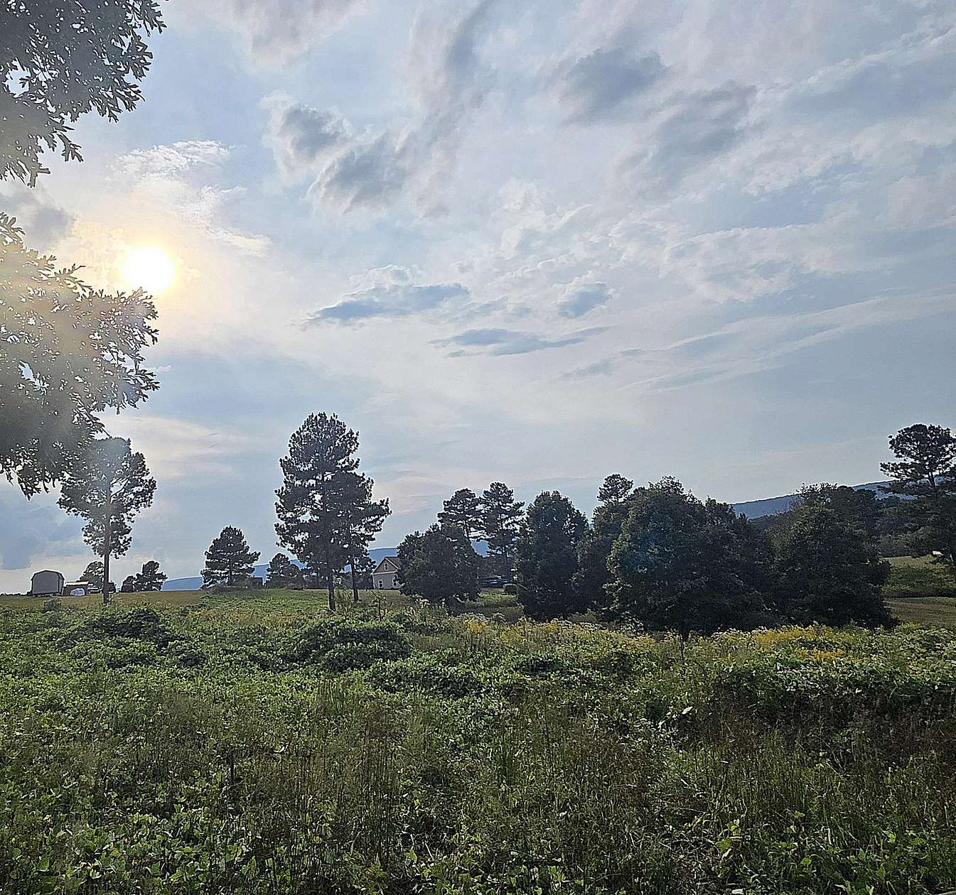 5.1 Acres of Residential Land for Sale in Evensville, Tennessee