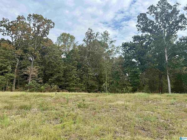 1 Acre of Residential Land for Sale in Oneonta, Alabama