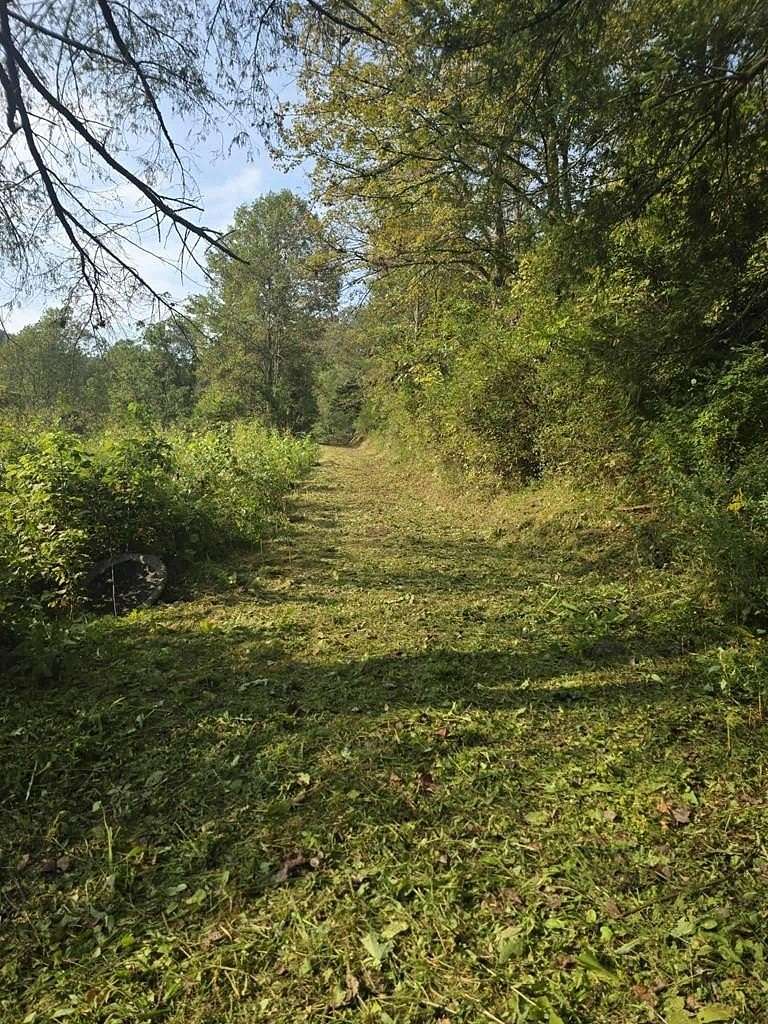 3.84 Acres of Residential Land for Sale in Stacy, Kentucky
