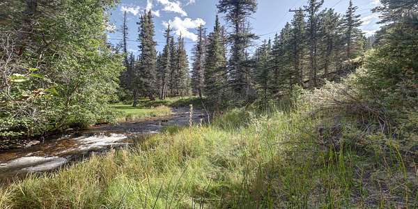 0.31 Acres of Land for Sale in Red River, New Mexico