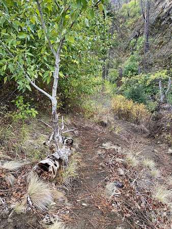 5 Acres of Land for Sale in Kamiah, Idaho