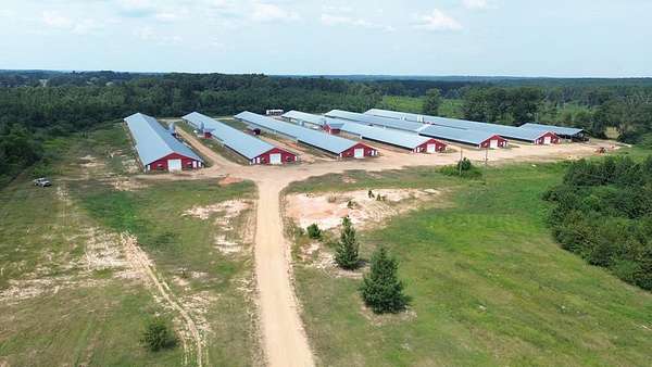 Land for Sale in Mount Olive, Mississippi