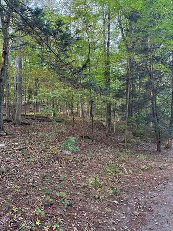 2.52 Acres of Residential Land for Sale in Monroe, Connecticut