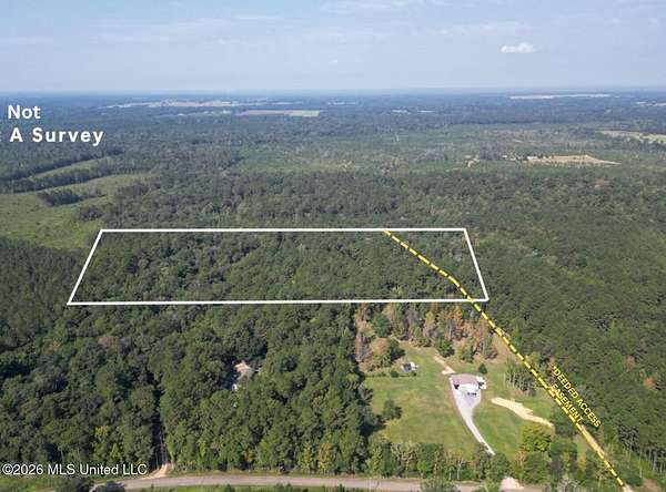 21.8 Acres of Recreational & Residential Land for Sale in Poplarville, Mississippi