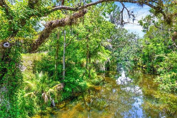 3.4 Acres of Residential Land for Sale in Valrico, Florida