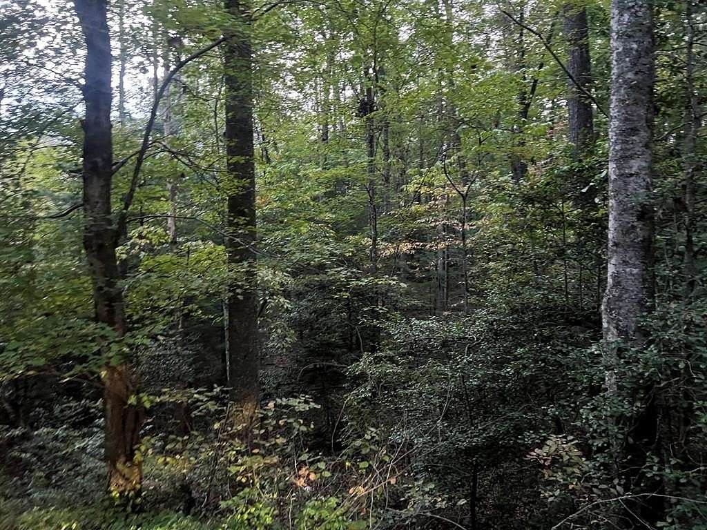 Residential Land for Sale in Murphy, North Carolina